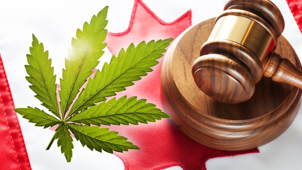 Legalization-of-Marijuana-in-Canada-1024x576-1024x576-1.jpg