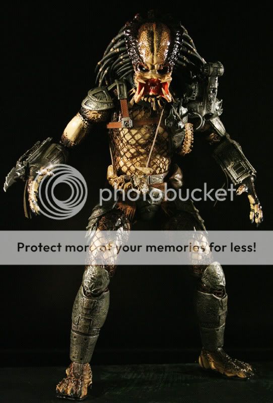 predator3.jpg