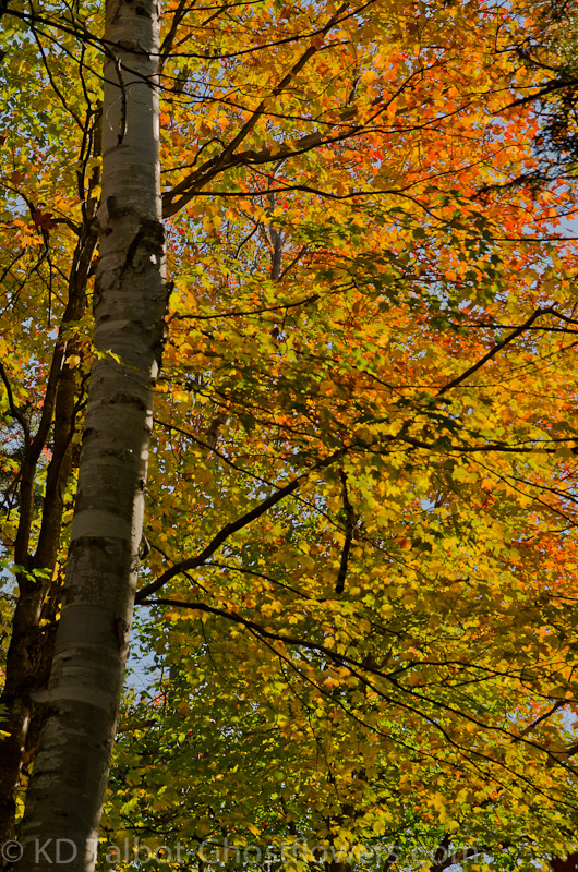 20111008-_DSC0016.jpg