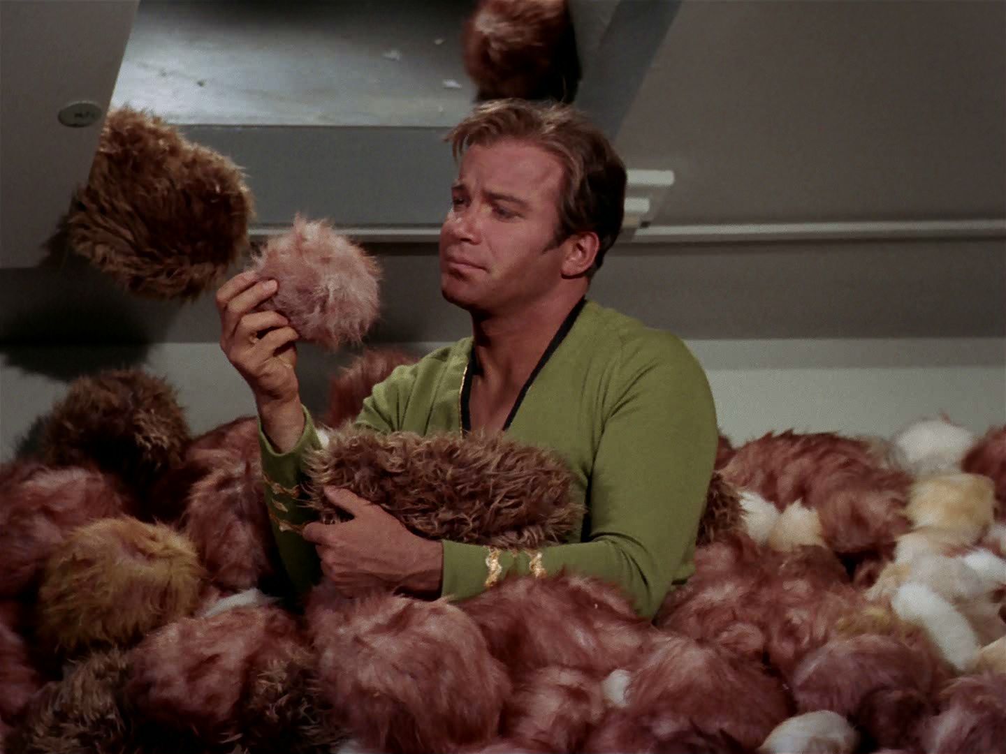 Kirk_surrounded_by_Tribbles.jpg