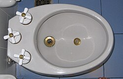 250px-Bidet_top.jpg