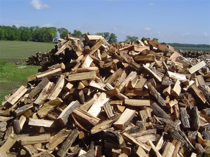 FirewoodinventoryJune12009002Medium.jpg