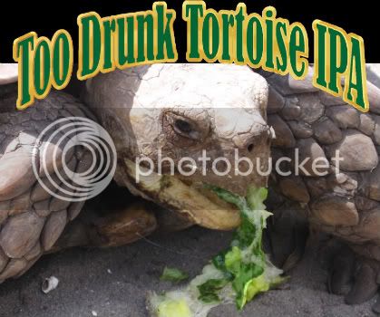 TortoiseLabel-1-2.jpg