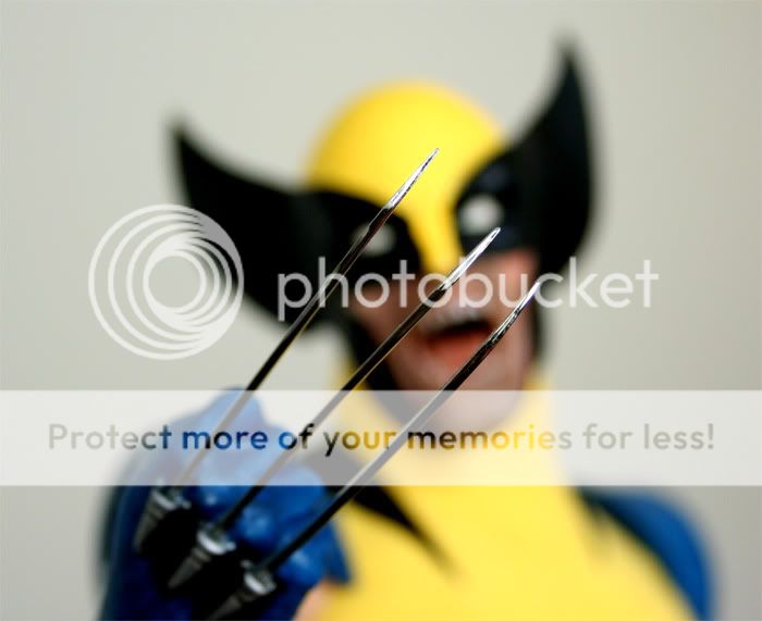 Wolverine4.jpg