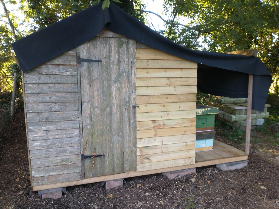 bee-shed-01.jpg