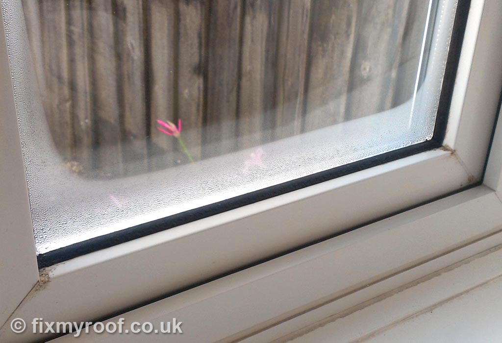 Condensation-on-windows-inside.jpg