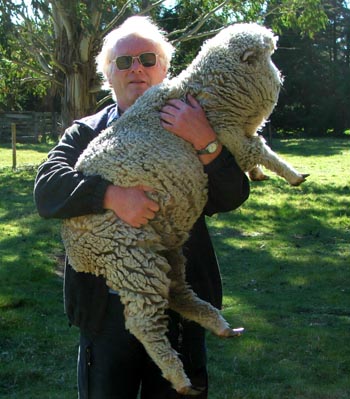 farmer-pet-sheep.jpg