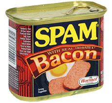spam-bacon.jpg