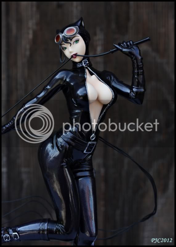 CatwomanBishoujo7.jpg