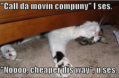 lolcats-movers.jpg