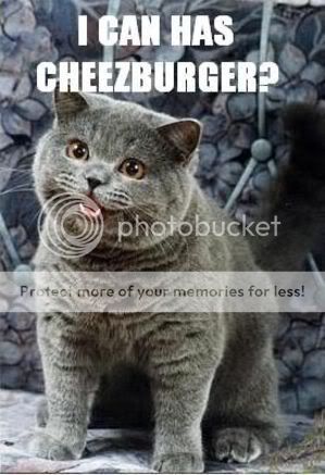 icanhascheezburger.jpg