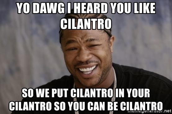 yo-dawg-i-heard-you-like-cilantro-so-we-put-cilantro-in-your-cilantro-so-you-can-be-cilantro.jpg