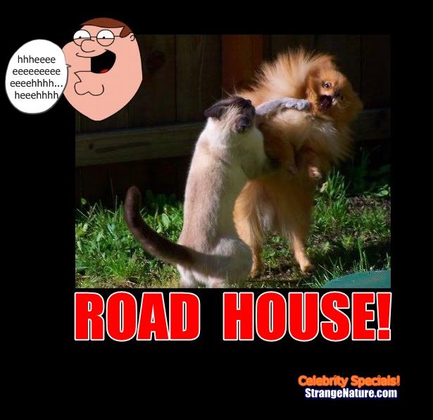 family-guy-roadhouse-3-funny-.jpg