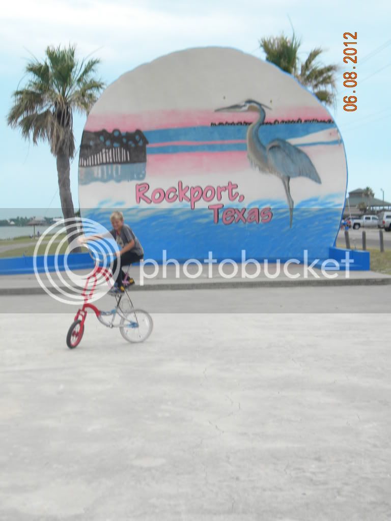 beachbikes007.jpg