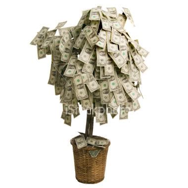 money-tree-704455.jpg