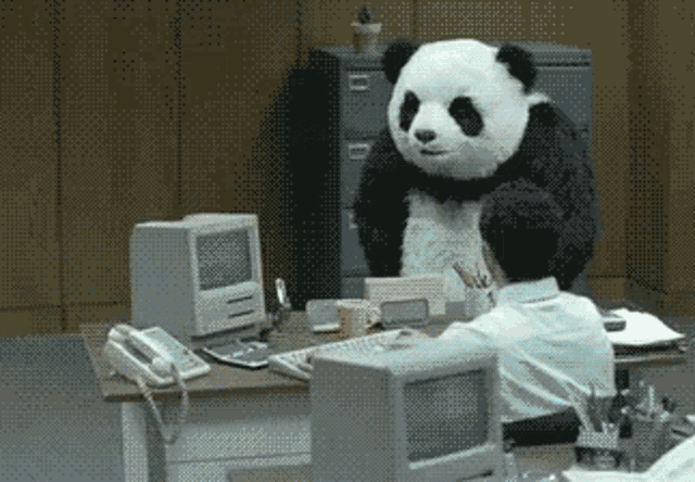 Angry Panda GIF - Angry Panda Office Panda - Discover & Share GIFs