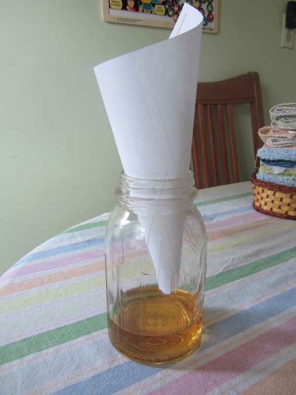 economist-fruit-flies-trap-home-made-by-using-paper-glass-jar-and-vinegar.jpg