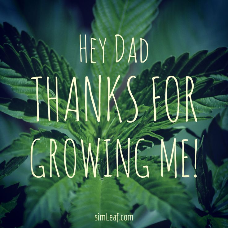 bf3000ee73aa650e52cc0e498ffcf03c--happy-fathers-day-cannabis.jpg