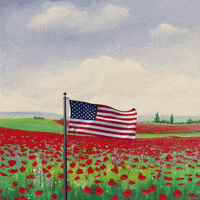 Memorial Day Thank You GIF by Vinnie Camilleri