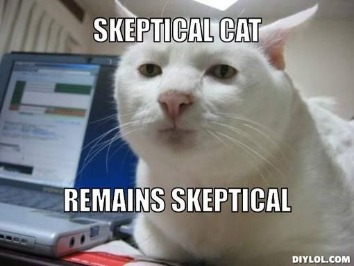 serious-cat-meme-generator-skeptical-cat-remains-skeptical-eb8577_zps5fa816ff.jpg