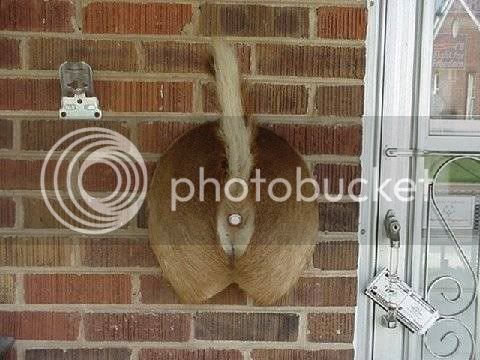 Doorbell.jpg