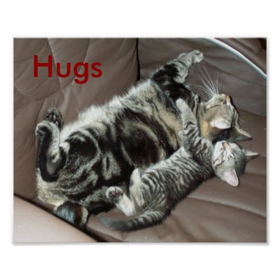 kitten_hugs_poster-p228273706644317505t5ta_400.jpg