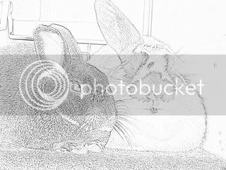 rabbitsartsandcrafts.jpg