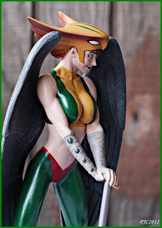 Hawkgirl11.jpg