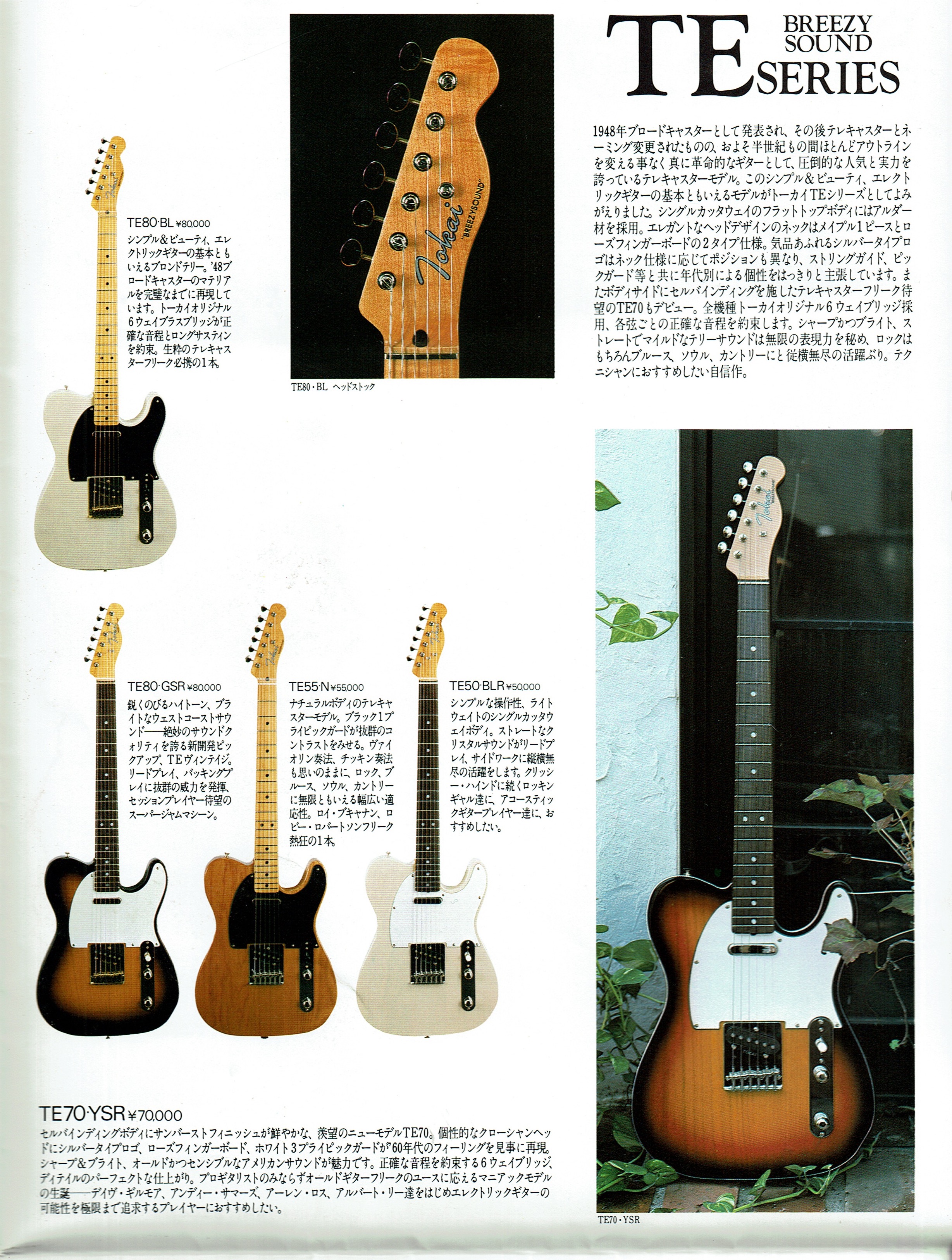 1980s - 1981 Flat Top Series Catalog Hi Res Images | Tokai