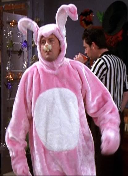 chandler_bunny.jpg