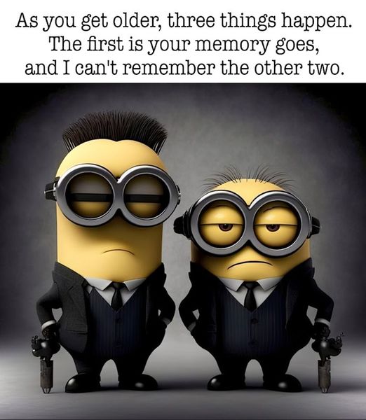 May be an image of minions and text that says As you get older, three things happen. The first is your memory goes, and I can't remember the other two.