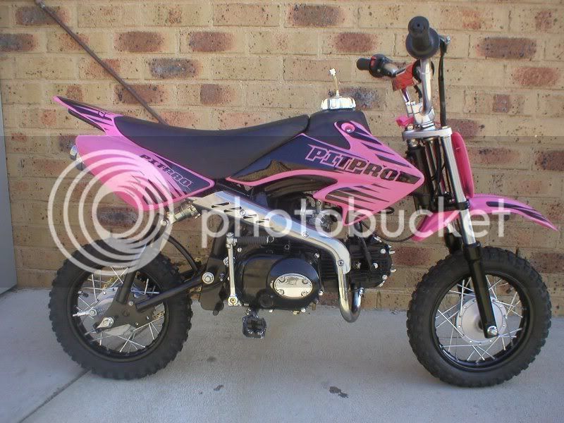 pp110cc.jpg