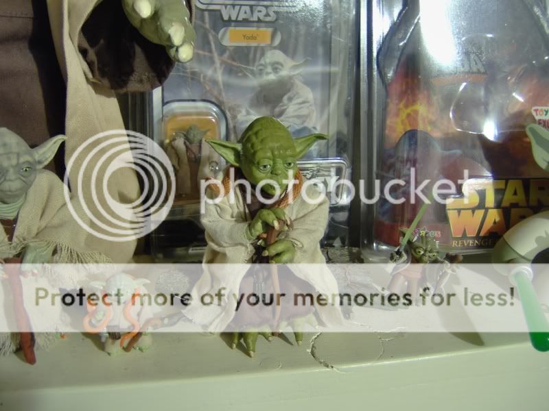 yoda1.jpg