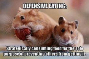 Defensive-eating-hamster-meme-300x200.jpg