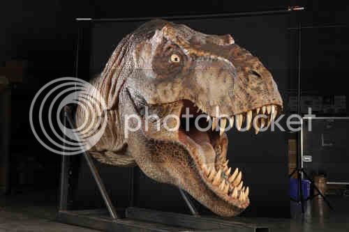 full-scale-male-t-rex-head-display-.jpg