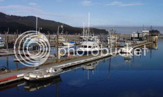 Seldovia_harbor_reflection104232256_std.jpg