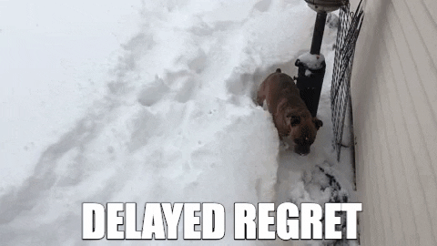 Image result for dog lost in deep snow  animated gif