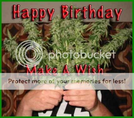 happy-bday-weed.jpg