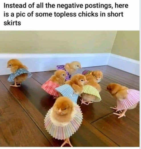 instead-of-negative-posts-pic-topless-chicks-short-skirts.jpg