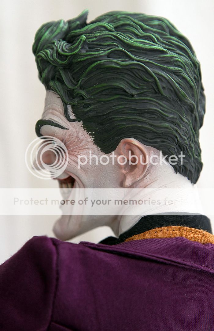 SS_Joker_Exc_005_zps4040a716.jpg