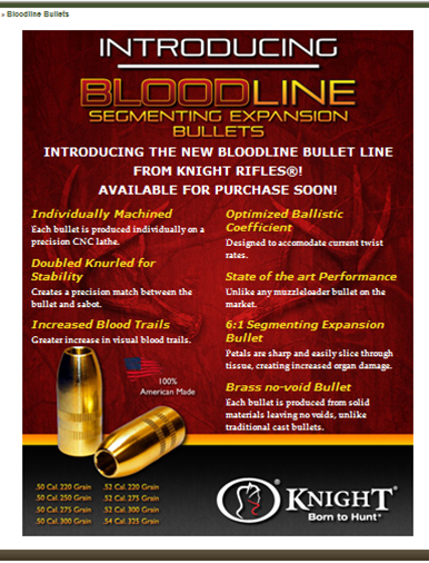 BloodlineBullets.png