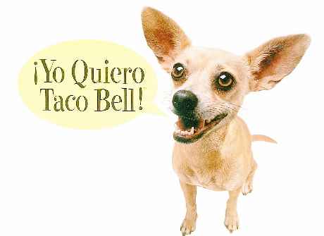 yo-quiero-taco-bell-chiuwawa-dies-sad-age-15.jpg