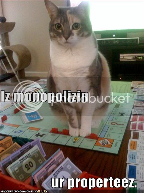 funny-pictures-cat-monopolizes-your.jpg