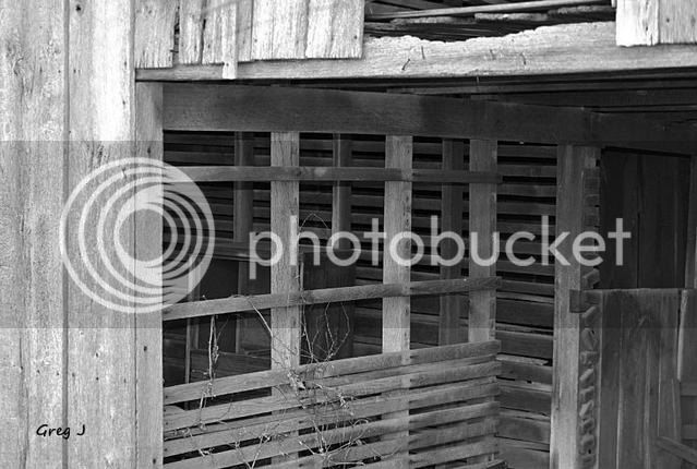 barnstalls12-27-10.jpg