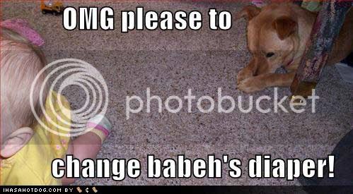 funny-dog-pictures-change-baby-diap.jpg