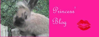 Princessblog.gif