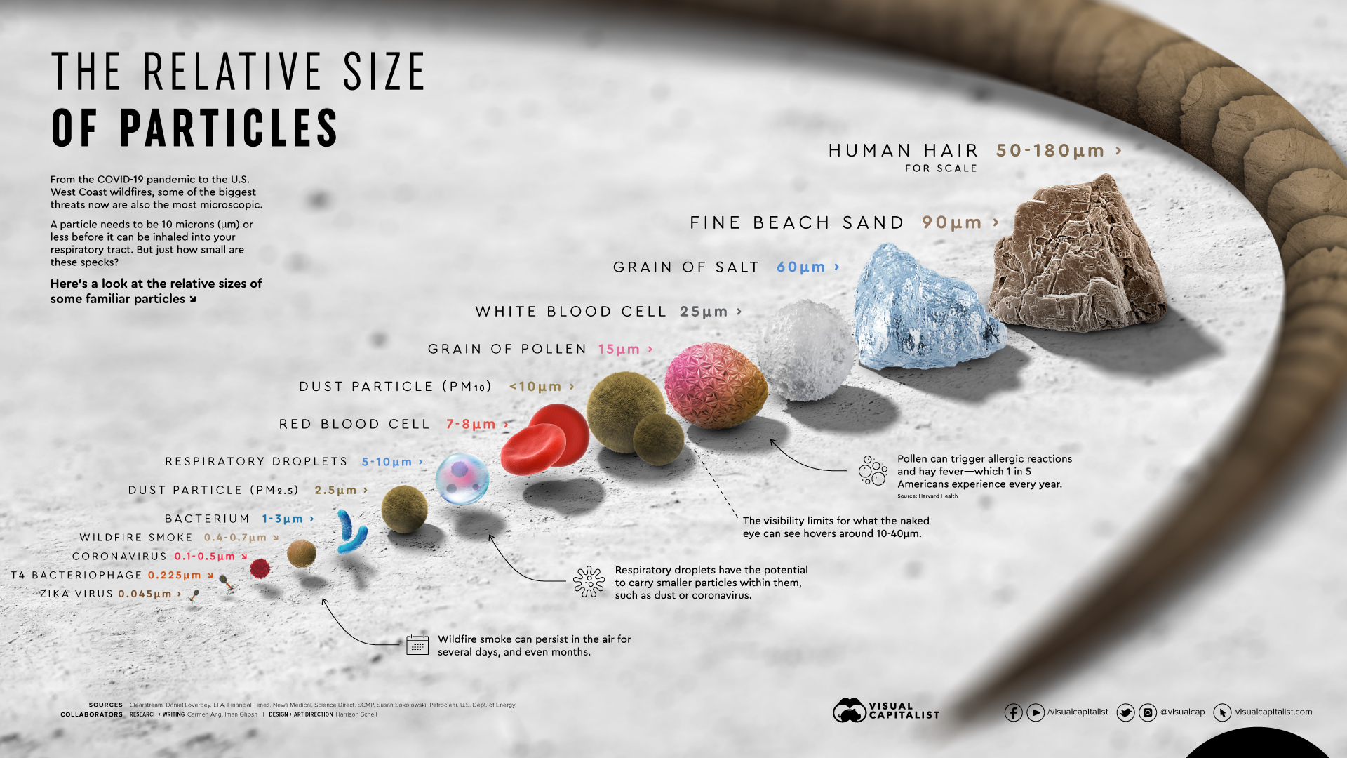 Relative-Size-of-Particles-Infographic-full.jpg