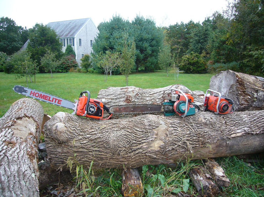 Best on sale homelite chainsaw