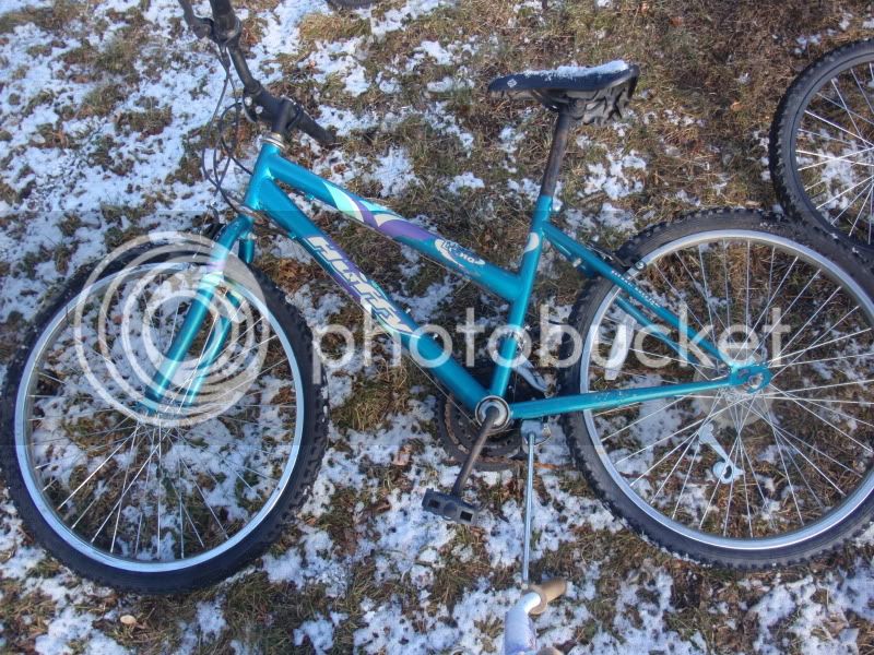 freebikes018.jpg