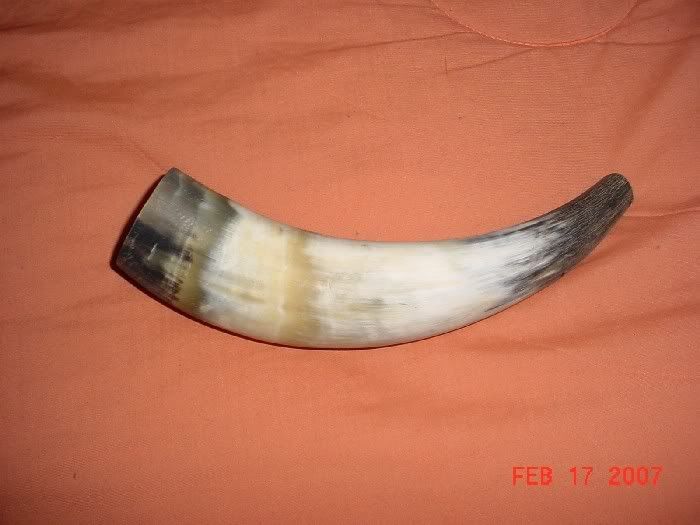 horn004.jpg